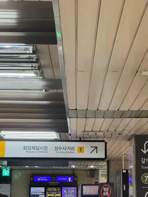 바이진 사진 6