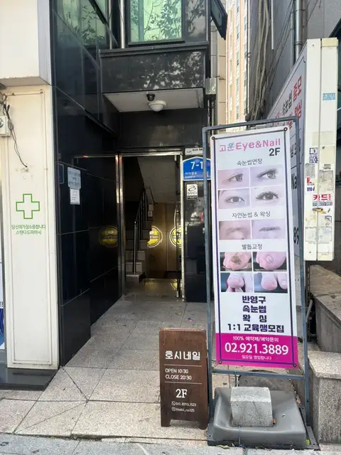 호시네일 사진 2