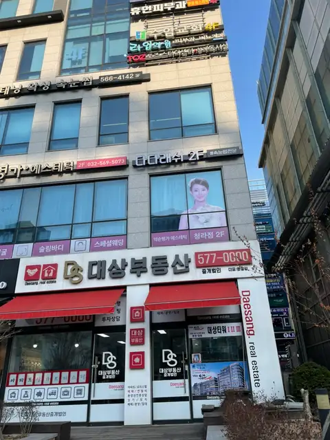 다다래쉬 사진 4