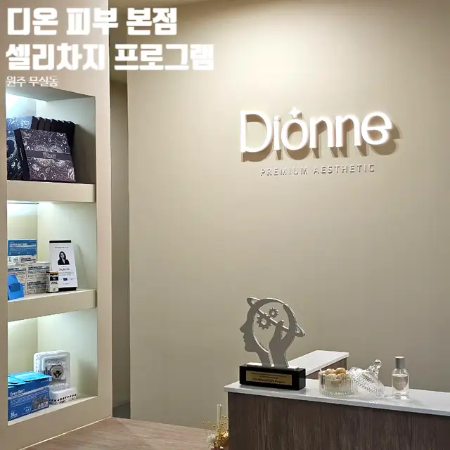 디온 사진 5