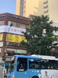 몰디붙임머리 사진