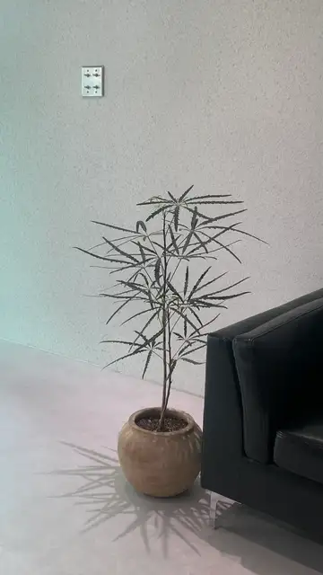 오센네일 사진 6