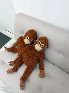 자라라 붙임머리 홍대점 사진
