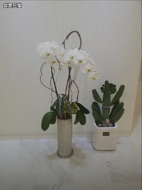 살롱드빛 사진 3