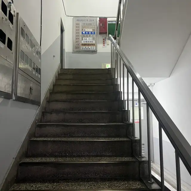모다브로우 사진 4