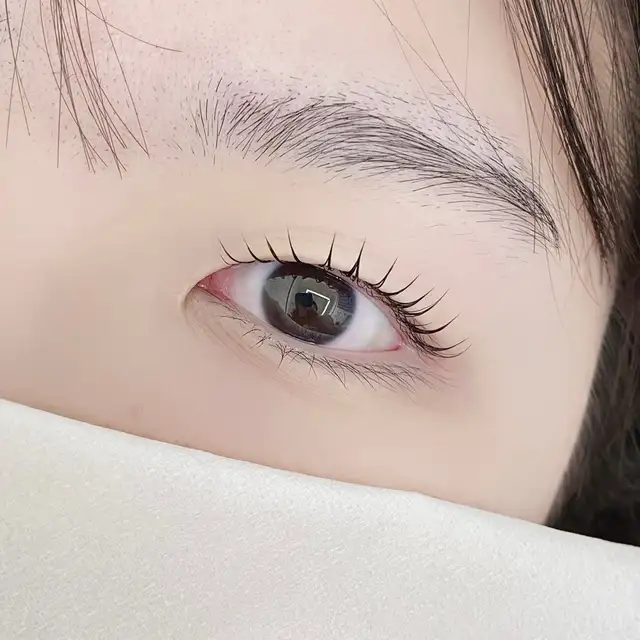 티다르다 사진 3