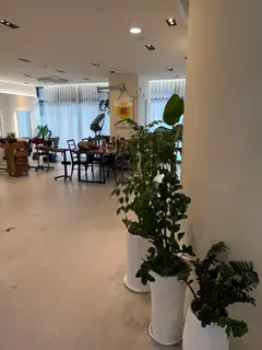 오드헤어 사진