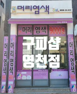 구피샵 영천점 사진