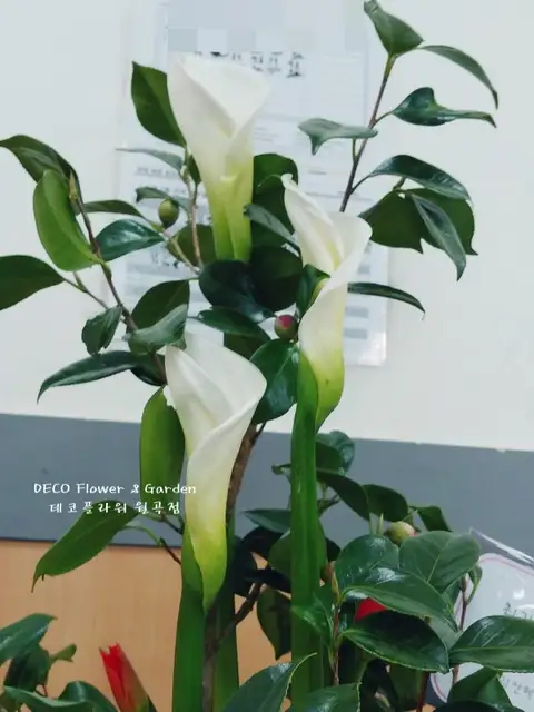 최가을헤어드레서 돈암점 사진 2