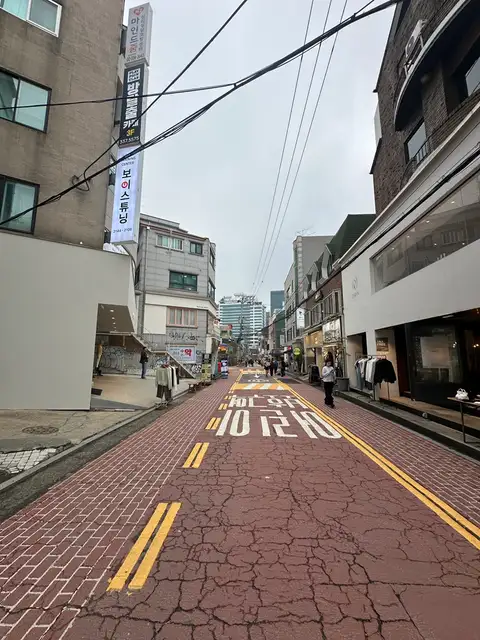 하퓰러 사진 8
