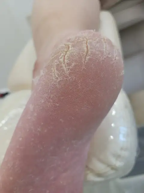 레푸스 춘천석사점 사진 7