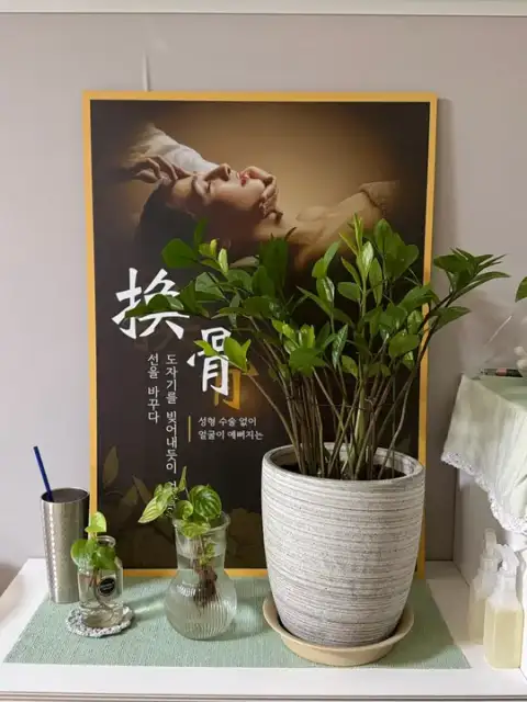 아이케어 사진 4
