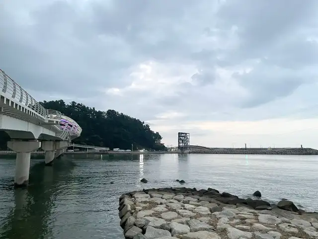필라앳 사진 1