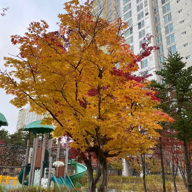모즈헤어 이촌점 사진 1