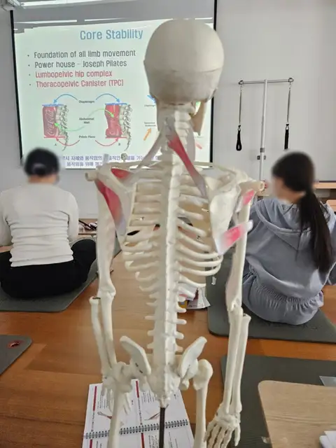 바시필라테스 마곡점 사진 6