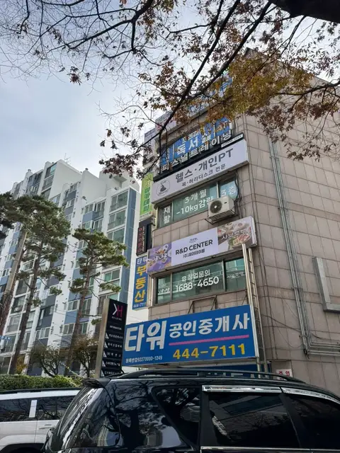 네일 바바 사진 5