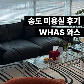 와스 사진