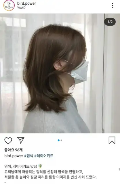 헤어벨리시마 사진 2