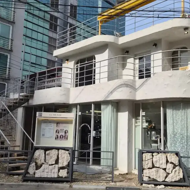 퍼스트뮤사이 사진 5