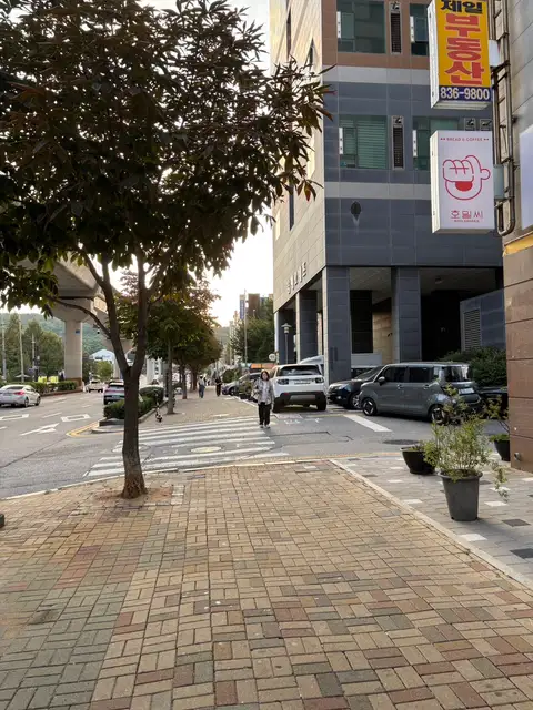본연래쉬 사진 6