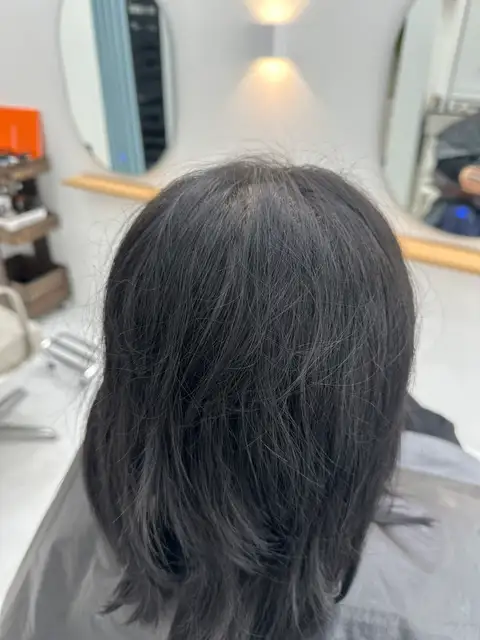 몽플레지르 사진 4