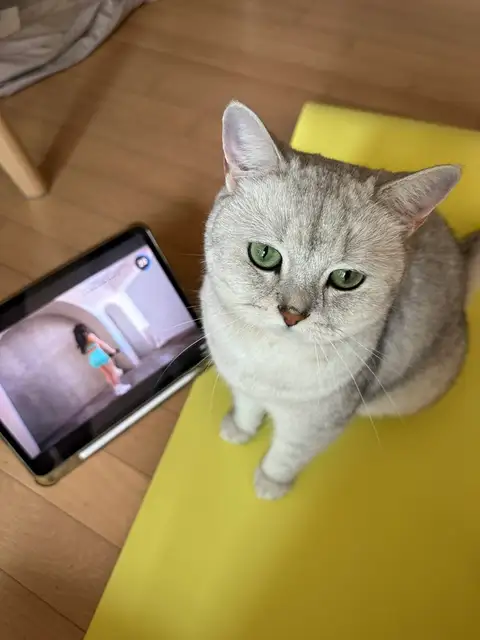 솔라테스 사진 2