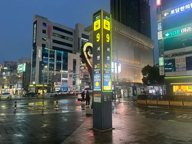 제이엘속눈썹 사진 6
