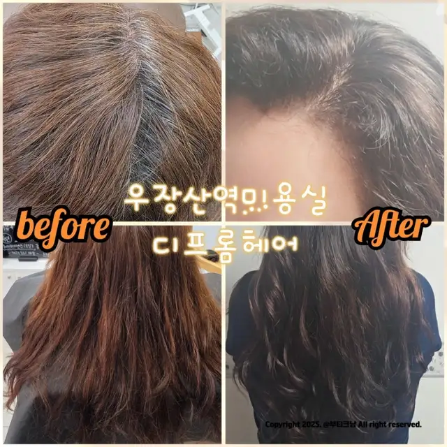 디프롬헤어 사진 5