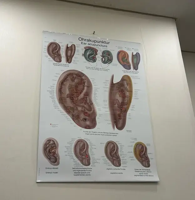 복이담 에스테틱 사진 2