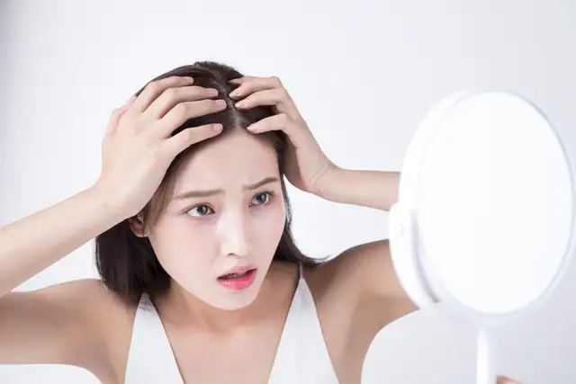 비도프 사진 5