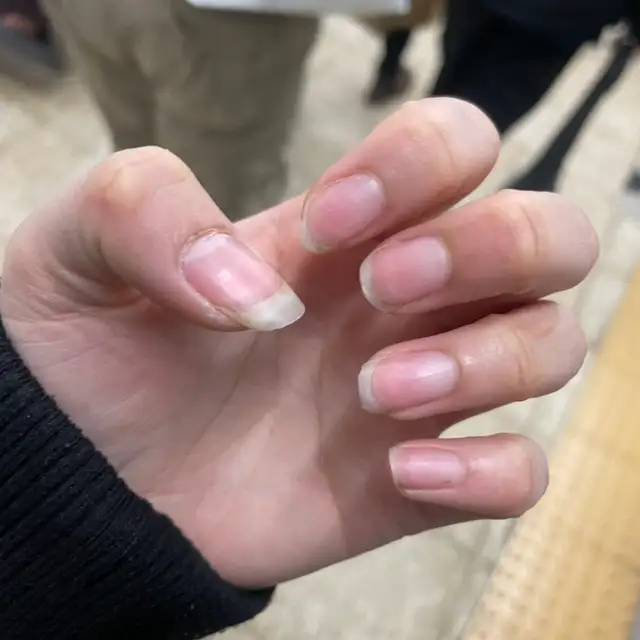 프리모뷰티 사진 4