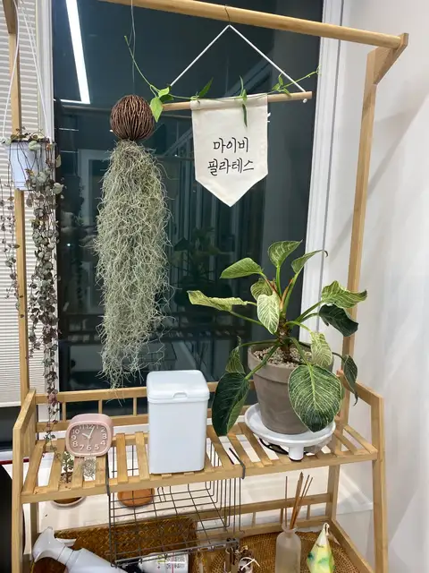 마이비필라테스 사진 6