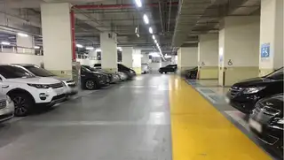 에스텔라 사진