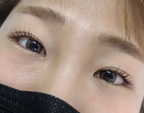 피노브로우 사진 8