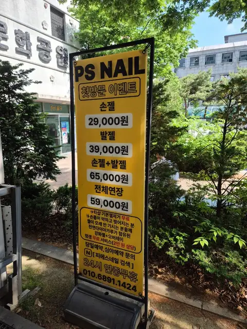 피에스네일 사진 6