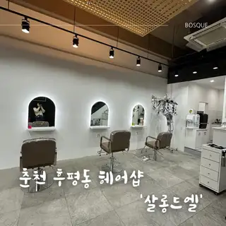 살롱드엘 사진