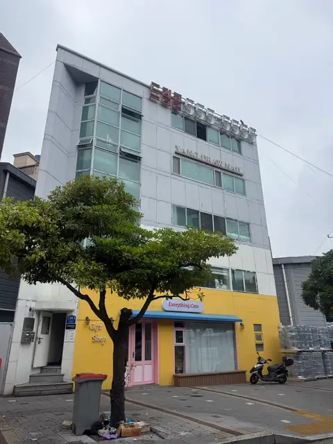 양드로네일 사진 1