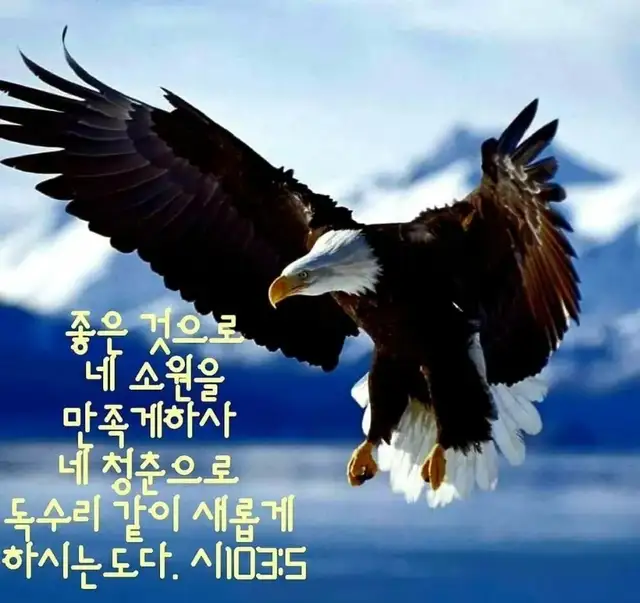 진요헤어 사진 2