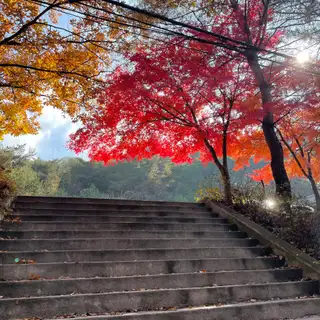 맨즈그루밍 사진