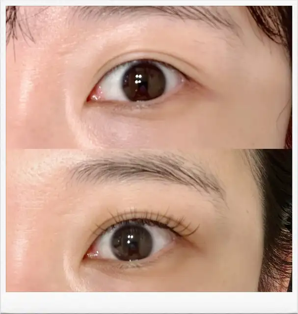 제이엘속눈썹 사진 5