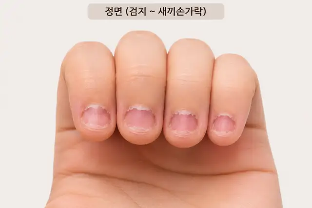네일라벨르 사진 2