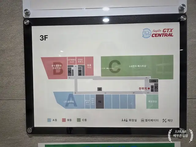 올룸 사진 2