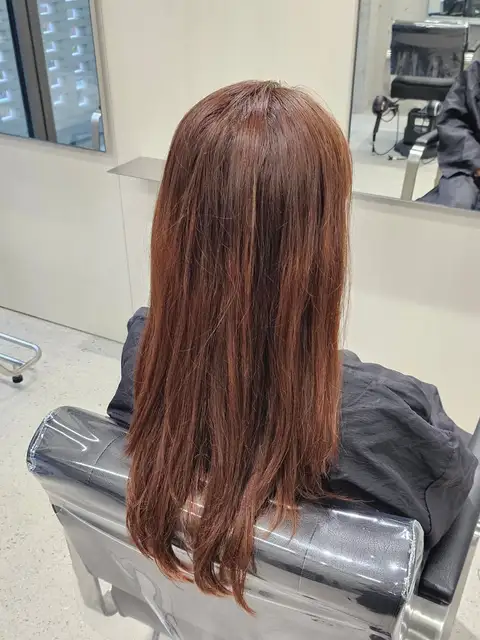 이오브 도큐먼트 사진 7