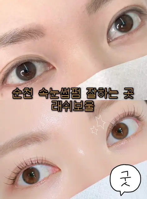 래쉬보울 사진 5