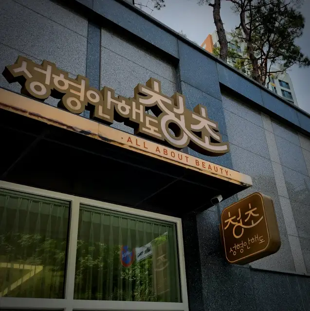 청초 사진 1