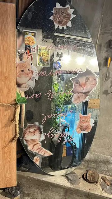 홍담 사진 3