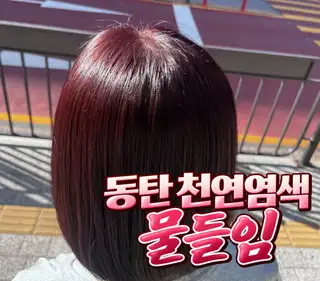 물들임 사진