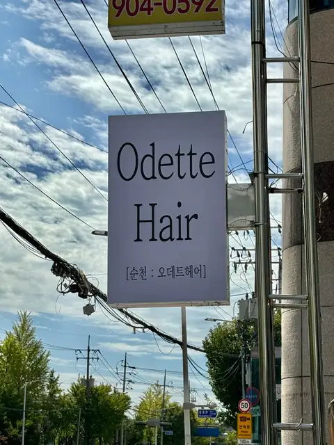 오데트 사진 4