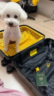 토모룸 사진