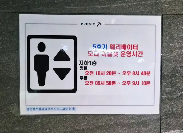 네일화백 사진 2